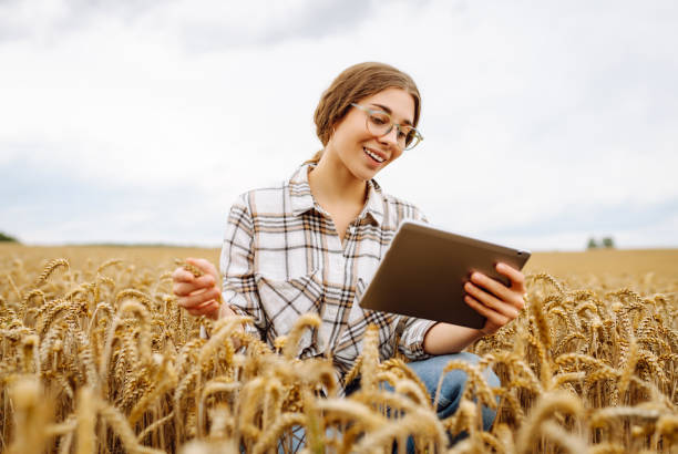 istock Woman sitting in a wheat field, using a tablet to check data on a sunny day surrounded by golden crops in late summer. 2173997605