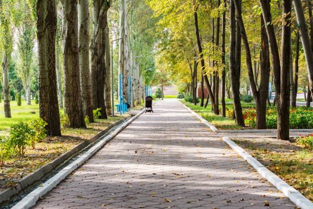 Moscow, Russia - October 19, 2025: City life in autumn day.  A woman with a baby stroller walks past a closed summer cafe in Moscow's Ostankino Park