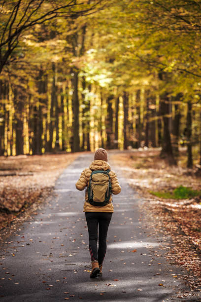 istock Tourist walking on empty country road through an autumn forest 2173997974