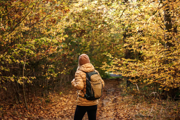 istock Hiking in autumn woodland 2173998002