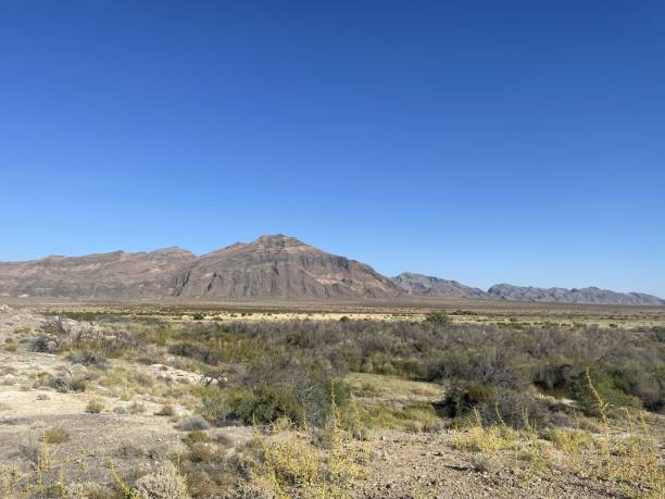 istock Ash Meadows National Wildlife Refuge 2173999209