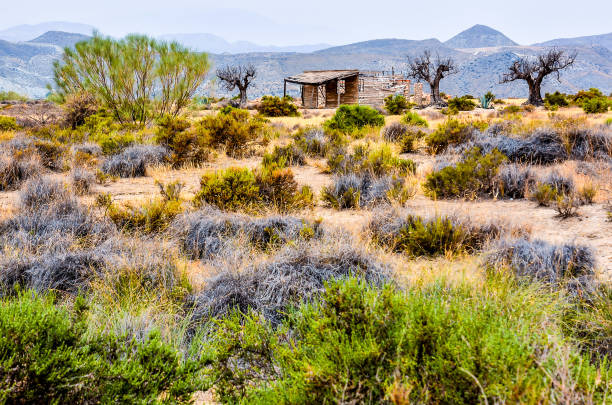 istock A desolate, dry, and barren landscape with a small shack in the middle 2174000034