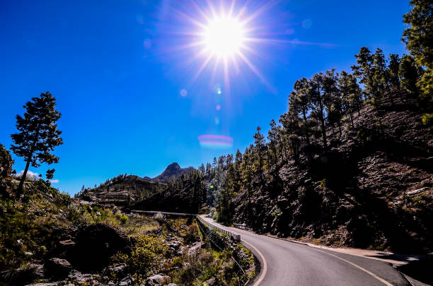 istock A road with trees in the background and a bright sun in the sky 2174000475