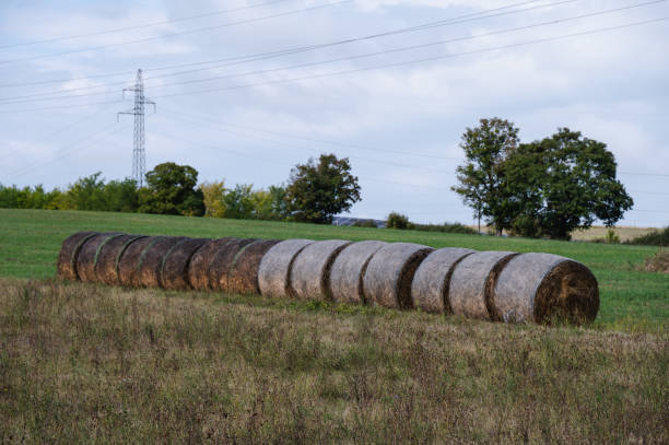 istock Hay bales lined up in a rural field with power lines 2174001556