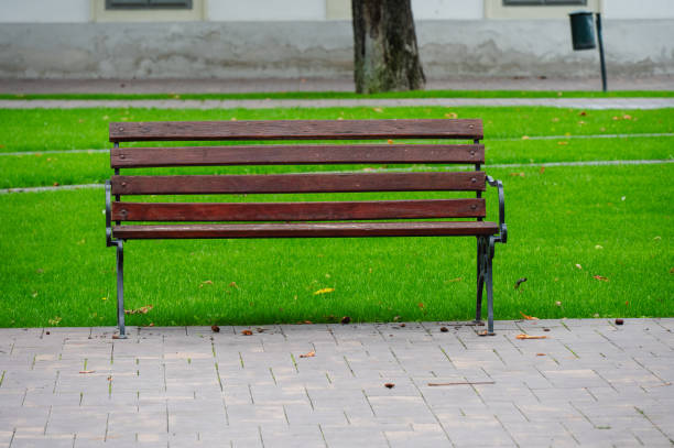 A simple wooden park bench stands on a paved walkway surrounded by vibrant green grass. The peaceful setting is ideal for relaxation, with a tree and additional park features visible in the background.