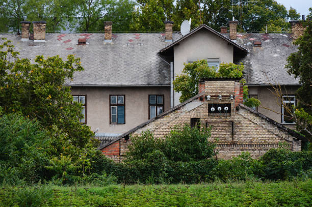 An old residential building with a weathered roof, multiple chimneys, and overgrown greenery climbing around the structure. The brick chimney and faded exterior highlight the age of the building, while lush vegetation surrounds the property.