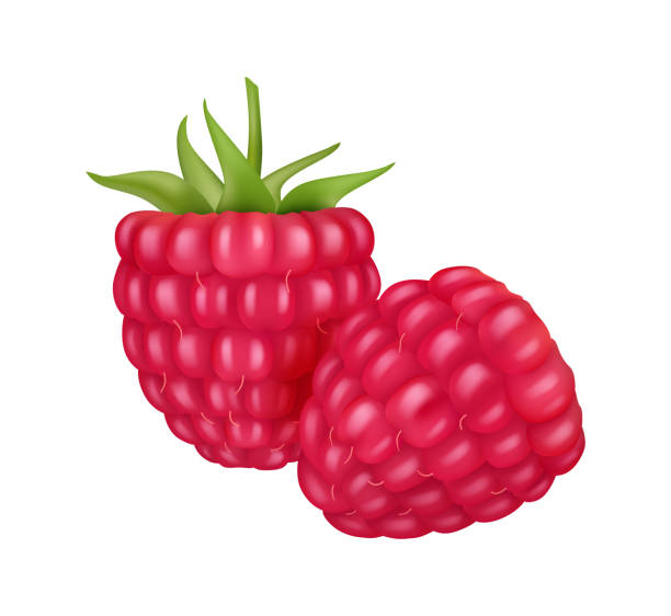 istock Raspberry realistic berry, sweet fruit food realistic vector illustration. Cartoon ripe raspberries healthy eating, vegetarian food snack. Fresh raspberries antioxidant, juice and jam, cocktails label 2174007950