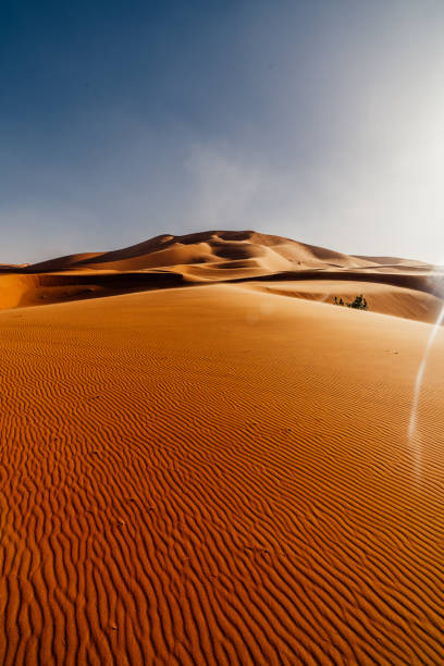istock Mergouza Desert in Morocci 2174008235