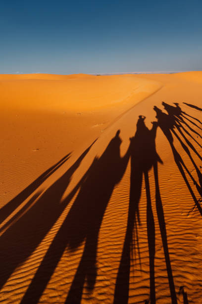 istock Mergouza Desert in Morocci 2174008716