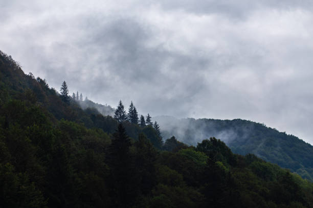 istock Beautiful mountain landscape. Ukrainian Carpathian Mountains. 2174010460
