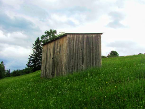 A simple wooden shed standing on a green mountain slope under a cloudy sky
