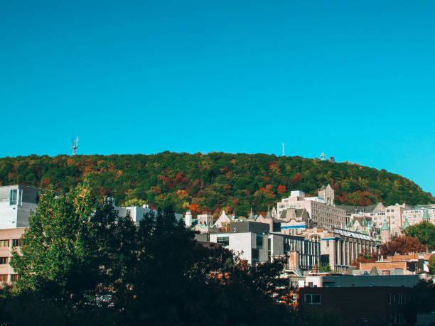 istock Mount Royal Park View in the fall season. Montreal, Canada 2174015856