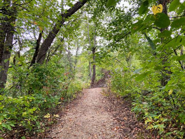istock Three Bridges County Park in Marshalltown,  Iowa 2174018406