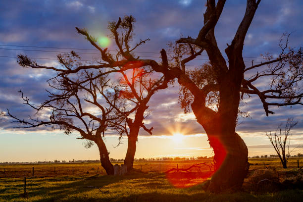 istock Lake Mulwala, Murray River, Hume, Australia 2174030000