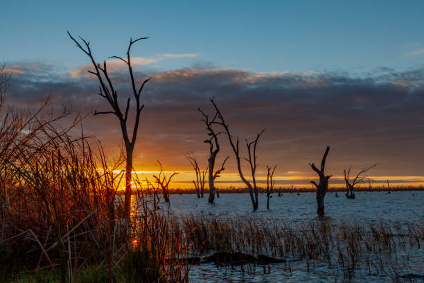 istock Lake Mulwala, Murray River, Hume, Australia 2174030061