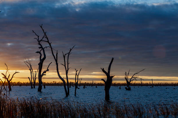 istock Lake Mulwala, Murray River, Hume, Australia 2174030082
