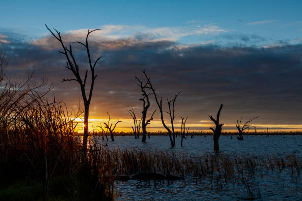 istock Lake Mulwala, Murray River, Hume, Australia 2174030125