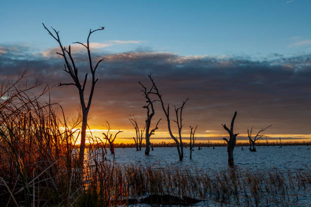 istock Lake Mulwala, Murray River, Hume, Australia 2174030130