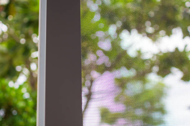 istock mosquito net wire screen on house window protection against insect 2174039995