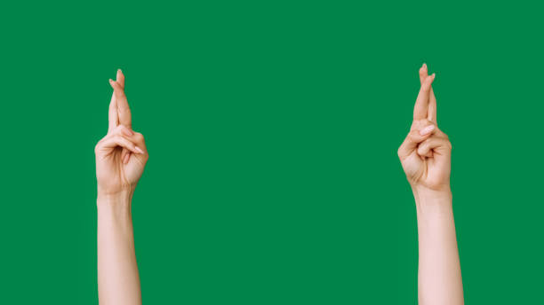 Crossed fingers. Hope chance. Wish desire. Dream opportunity. Female hands expectation gesture isolated on green empty space background.