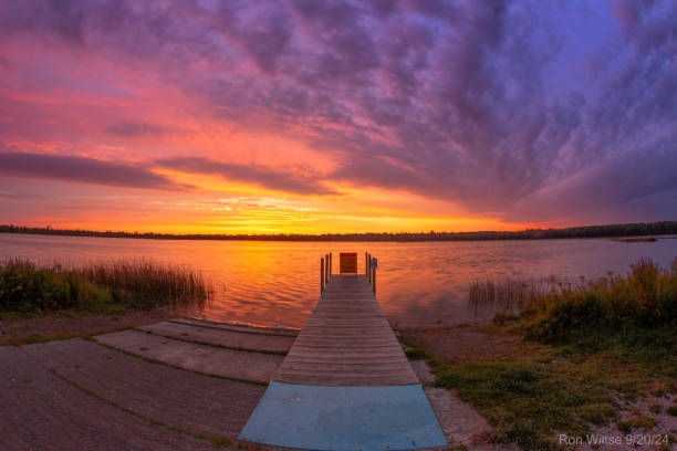 istock Marl Lake Fall Purple Loosestrife Sunrise 2174042525