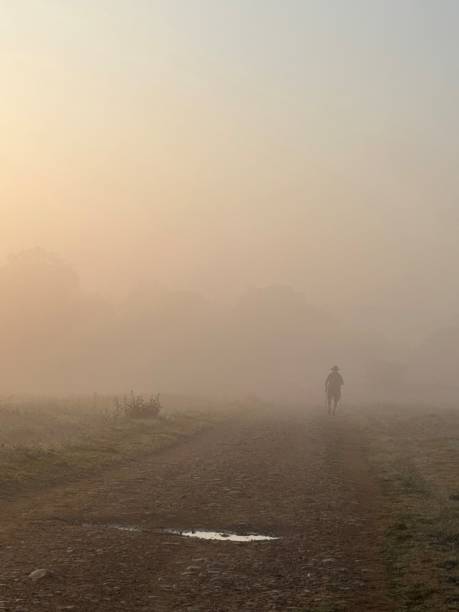 istock Ages-Spain, morning walk in fog 2174044995