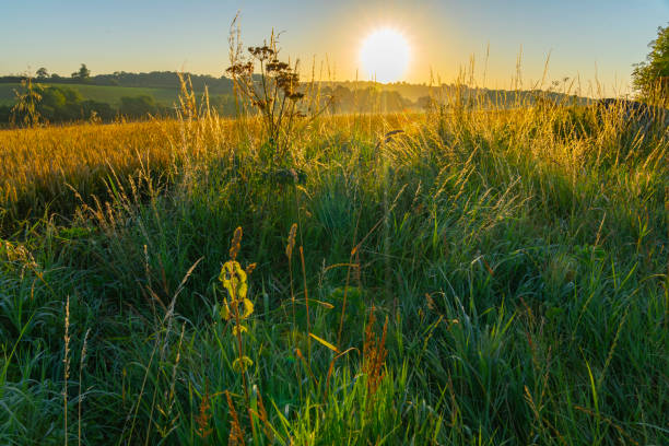 istock Fresh fallow land as sunbursts over horizon The Cotswolds, 2174058618