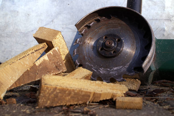 istock Circular saw blade slices through logs, scattering wood shavings and debris around a rustic workshop 2174061210