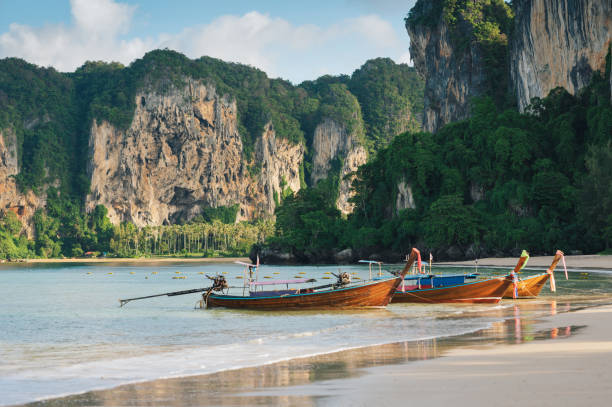 istock Wide angle shot natural condition landscape view lime stone mountain longtail boat leaving form  Maya Bay, Phi Phi islands krabi Thailand Asia 2174063770