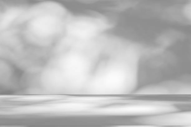 istock Studio style background wall decoration presentation uses white tones. with shadows cast from a nearby window, concept creating a decorative backdrop. 2174074758