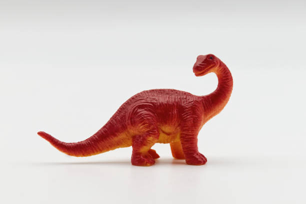 istock Brontosaurus isolated on white background. Prehistoric Animals. 2174078353