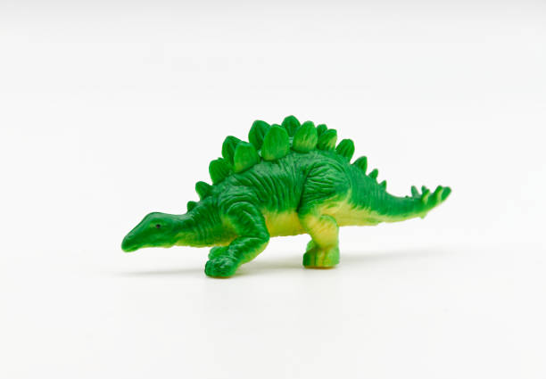 istock Stegosaurus isolated on white background. Prehistoric Animals. 2174078355
