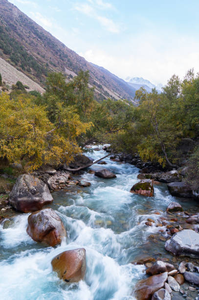 istock River in the mountains, vertical photo. 2174085073