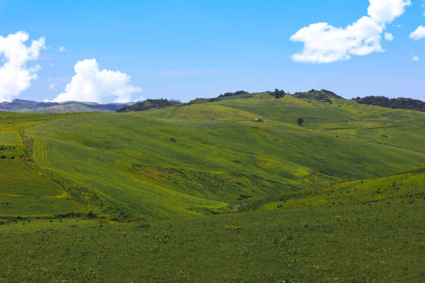 A scenic view of rolling green hills under a bright blue sky adorned with fluffy white clouds. The landscape captures the essence of springtime in Sicily, featuring vibrant foliage and gentle slopes that invite exploration. The sunlight casts a warm glow over the hills, enhancing the lush greenery and creating a tranquil, picturesque atmosphere.