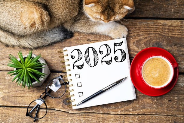 istock New year resolutions 2025 on desk. 2025 resolutions list with notebook, coffee cup, cute cat on table. Goals, resolutions, plan, cozy, hygge concept. New Year 2025 template 2174086213