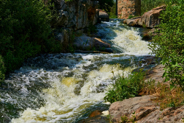 a large natural stream of water flowing in a channel to the sea