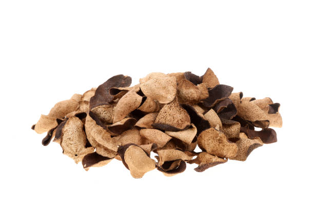 istock Pericarpium citri reticulatae on white background 2174089575