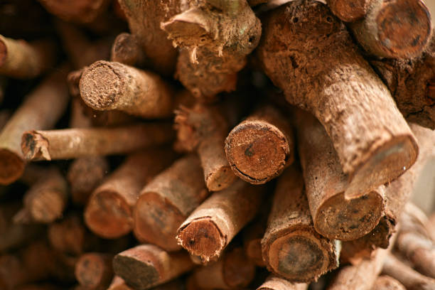 istock stacked loggs of fire wood texture background 2174090560