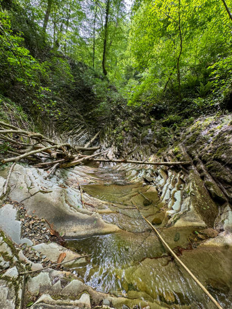 istock The river runs along the rocky cliffs in the mountains 2174090730