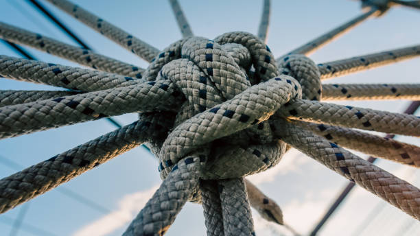 istock many ropes and one big knot 2174097182