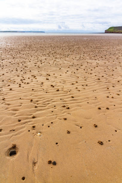 istock Dunnet Beach Scotland Europe 2174102067