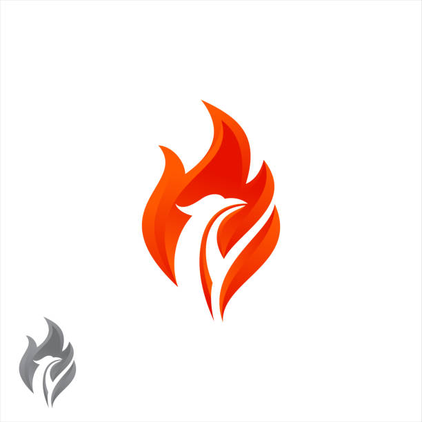 Mythological animal Phoenix fire bird vector logo design Mythological animal Phoenix fire bird vector logo design. Vector illustration firebird logo stock illustrations
