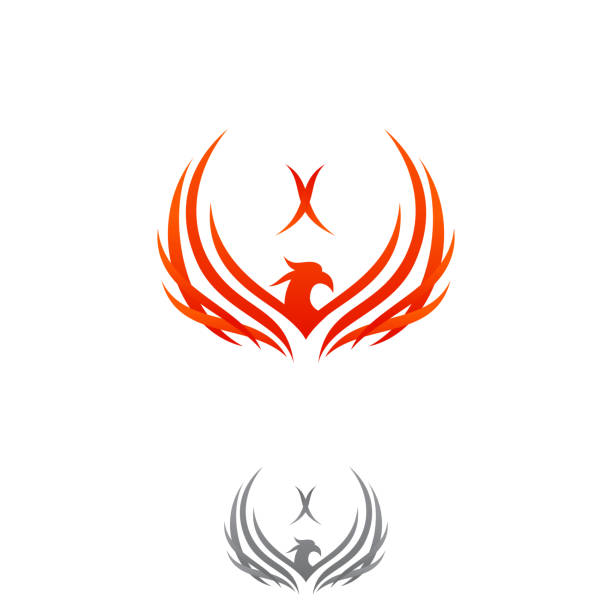 Mythological animal Phoenix fire bird vector logo design Mythological animal Phoenix fire bird vector logo design. Vector illustration firebird logo stock illustrations