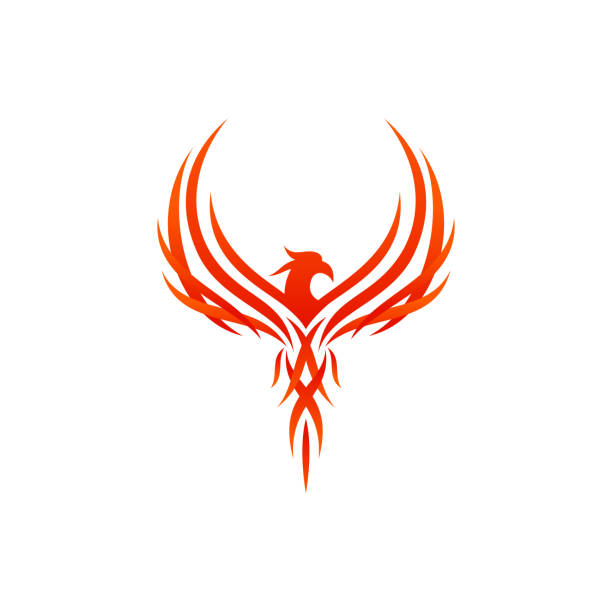 Mythological animal Phoenix fire bird vector logo design Mythological animal Phoenix fire bird vector logo design. Vector illustration firebird logo stock illustrations