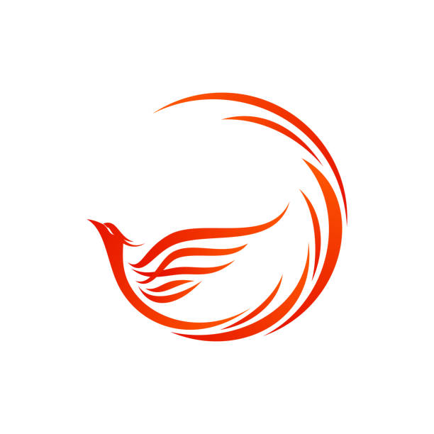 Mythological animal Phoenix fire bird vector logo design Mythological animal Phoenix fire bird vector logo design. Vector illustration firebird logo stock illustrations