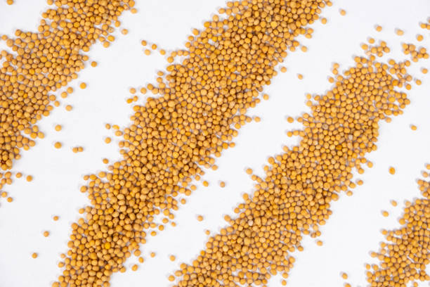 istock Scattered Dry Yellow Mustard Grains on White Background Top View 2174105434