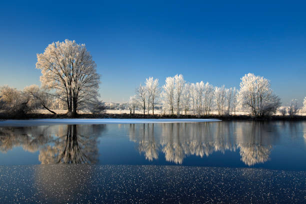 Ice Crystallization In Winter Macrophotography
