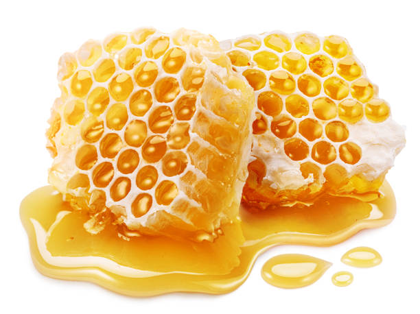 istock Raw honeycombs filled with fresh honey in honey puddle on white background. 2174107493