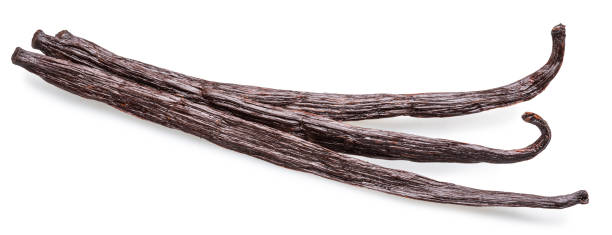 istock Dry vanilla fruit beans or vanilla sticks on white background. File contains clipping path. 2174107610