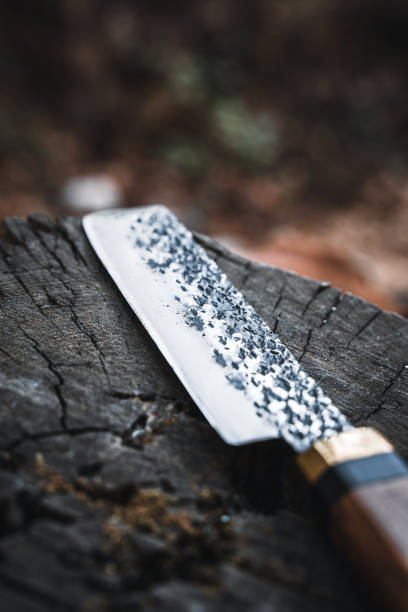 istock Detailed Close-Up of Textured Blade on Tree Stump 2174111265